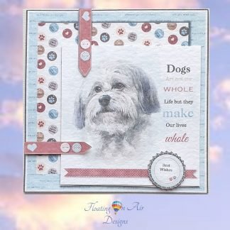 To love a Dog - Maltese 1